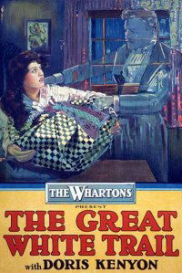 The Great White Trail (1917)