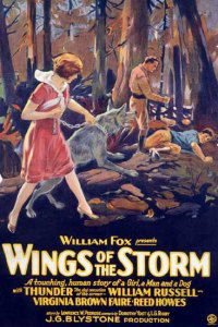 Wings of the Storm