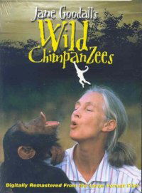 Jane Goodall's Wild Chimpanzees