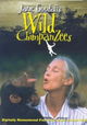 Jane Goodall's Wild Chimpanzees