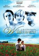 Wildflower