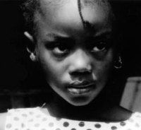 Wild Blue, notes à quelques voix (2000)
