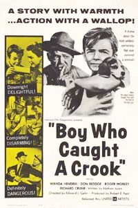Boy Who Caught a Crook