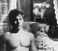 Dhil al ardh (1982)