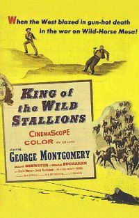 King of the Wild Stallions