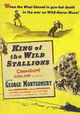King of the Wild Stallions