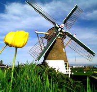 Dromen van Holland