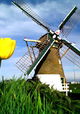 Dromen van Holland
