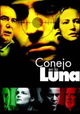 Conejo en la luna