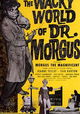 The Wacky World of Dr. Morgus