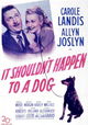 It Shouldn't Happen to a Dog