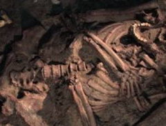 Les origines du langage (2009)