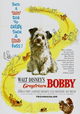 Greyfriars Bobby: The True Story of a Dog
