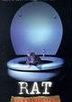 Rat