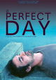 A Perfect Day