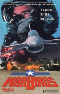 Warbirds (1989)