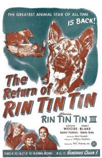 The Return of Rin Tin Tin