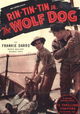 The Wolf Dog