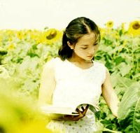 Kuihua duoduo (2005)