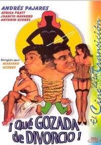 ¡Qué gozada de divorcio! (1981)