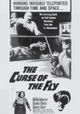 Curse of the Fly