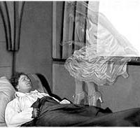 Die Puppe (1919)