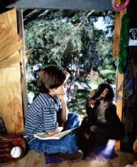 The Jennie Project (2001)
