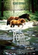Pom, le poulain