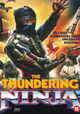 Thundering Ninja