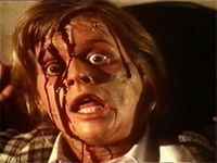 Il gatto nero (1989)