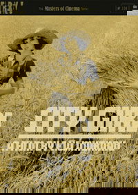 City Girl (1930)