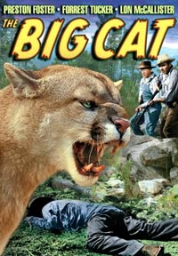 The Big Cat