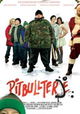 Pitbullterje