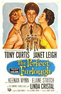 The Perfect Furlough