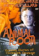 Animal Room