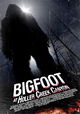 Bigfoot at Holler Creek Canyon