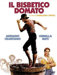 Il bisbetico domato (1980)