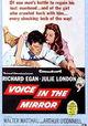 Voice in the Mirror