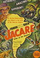 Jacaré