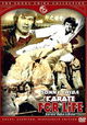 Karate baka ichidai