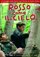 Rosso come il cielo