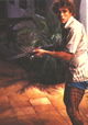 Savage Harvest
