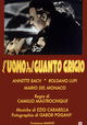 L'uomo dal guanto grigio