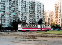 Petersburg Places and Paintings