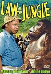 Law of the Jungle