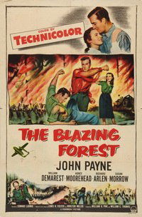 The Blazing Forest