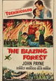 The Blazing Forest