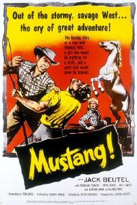 Mustang!