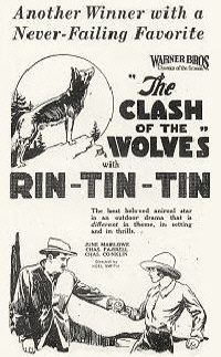 Clash of the Wolves