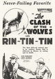 Clash of the Wolves